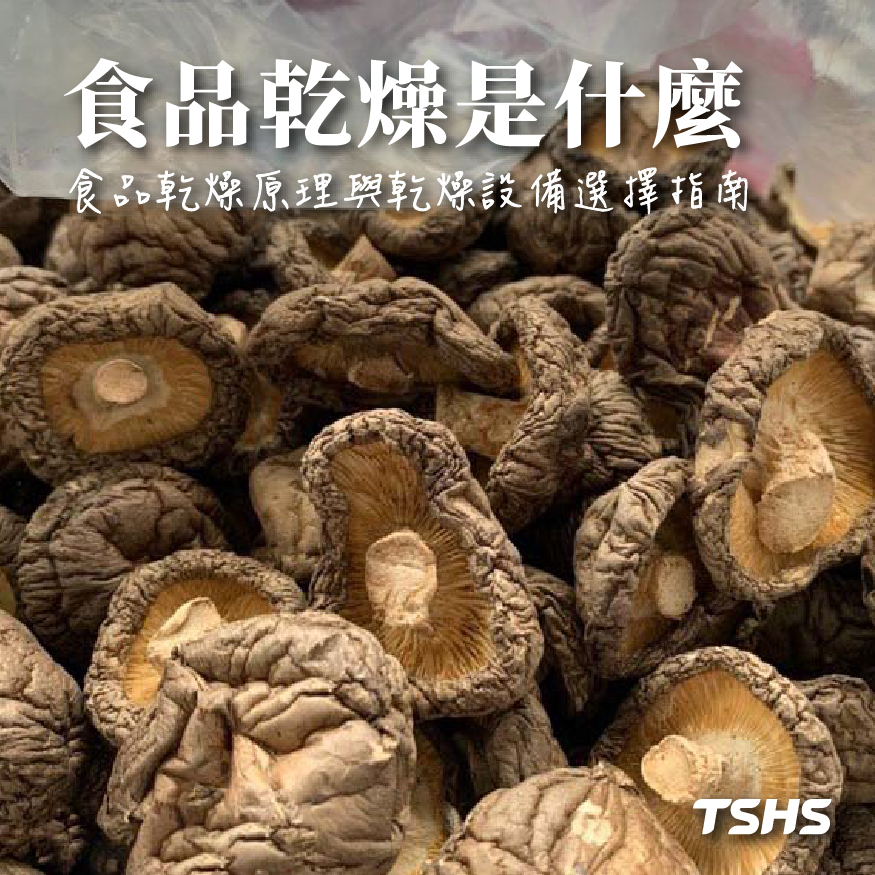 食品乾燥原理與乾燥設備選擇指南